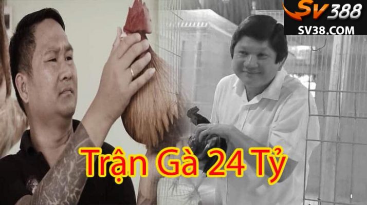 trận gà 24 tỷ