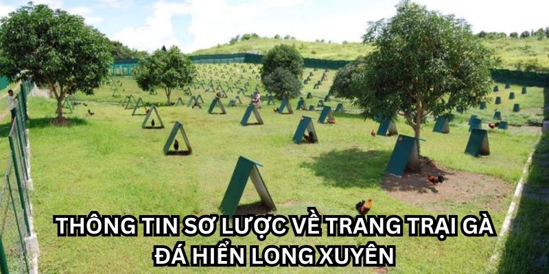 hiển long xuyên